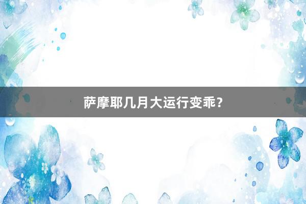 萨摩耶几月大运行变乖？